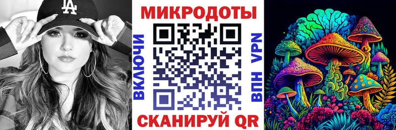 дарнет шоп  Находка  Псилоцибиновые грибы мухоморы 