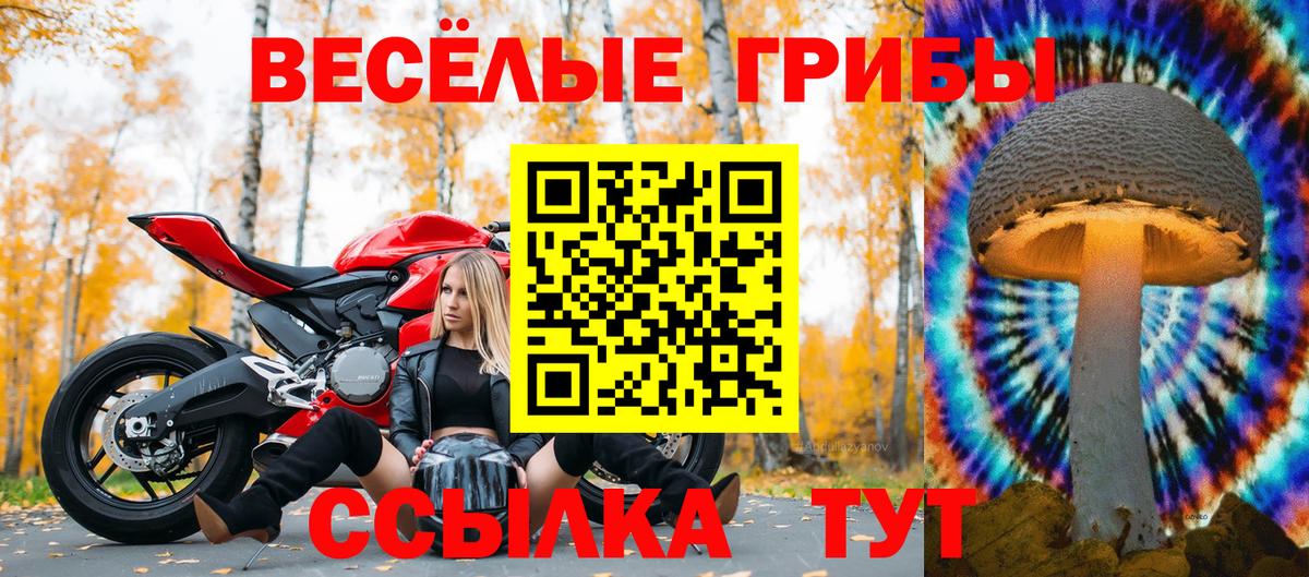 Псилоцибиновые грибы Cubensis  Вход с VPN  Находка 