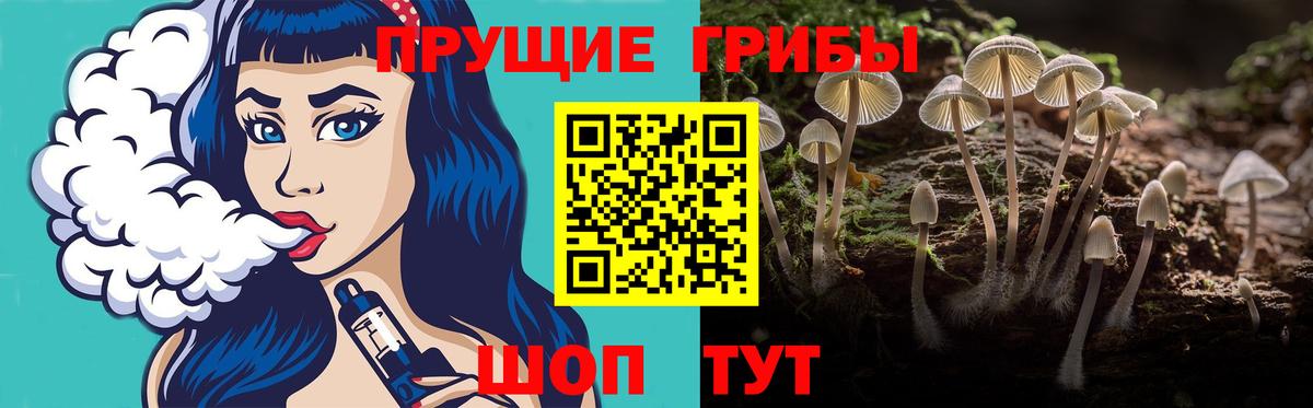 Галлюциногенные грибы Magic Shrooms Находка